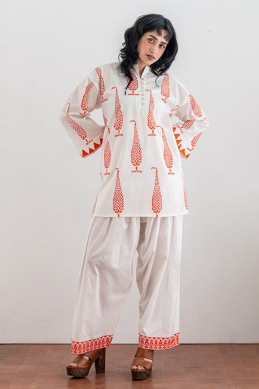 2 PIECE BLOCK PRINTED SUIT